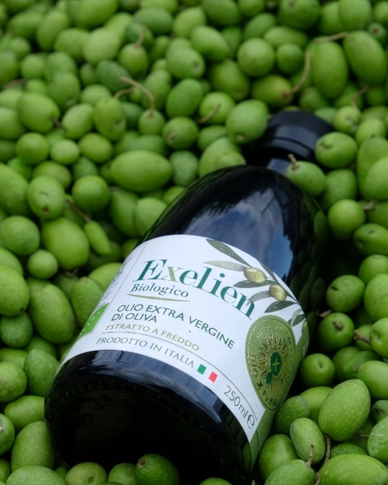 Exelien among green olives