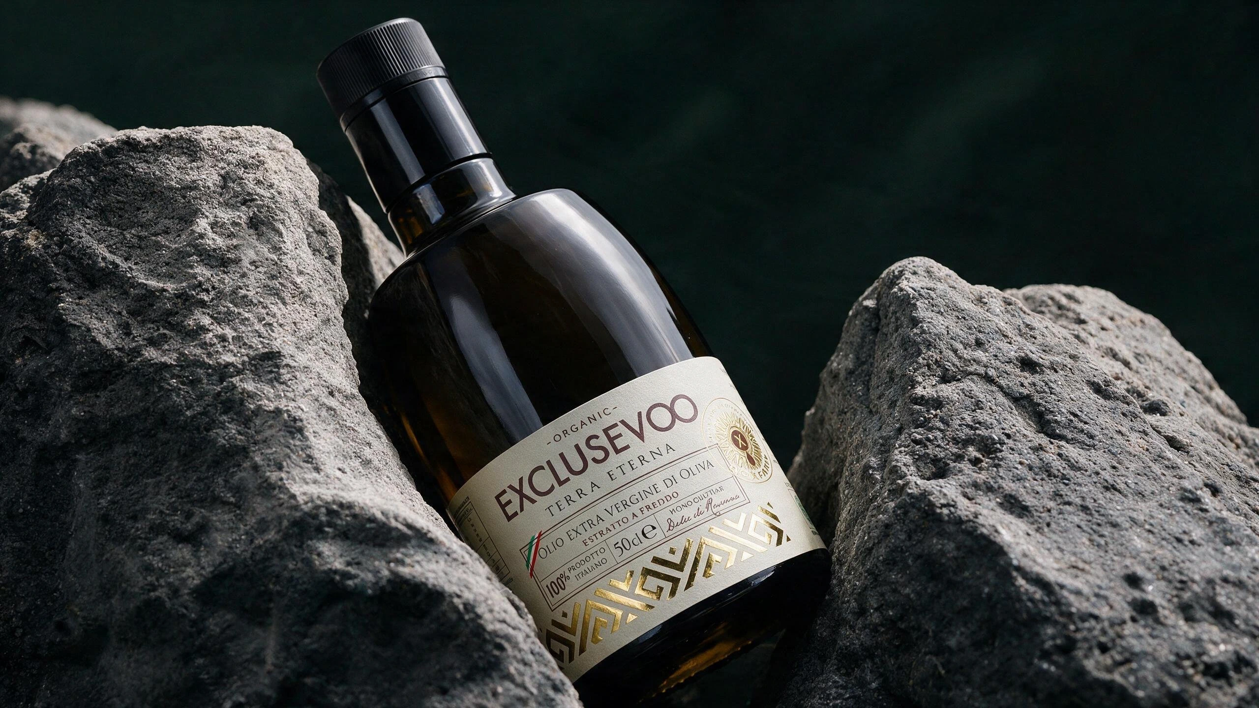 BioXFarm organic olive grove in Calabria